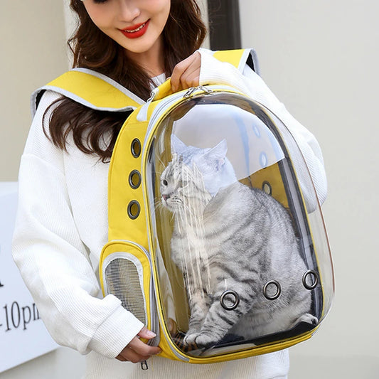 Cat Pet Carriers Dog pet backpacks portable transparent space capsules Soft Side Backpack Travel Bags Outgoing cat supplies - MyLootWare