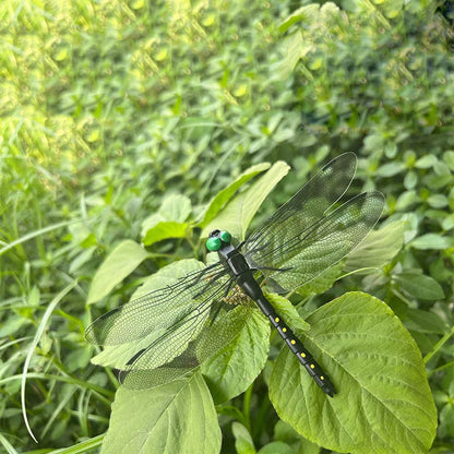 4 Outdoor Mosquito Repellent Simulation Dragonfly Stick Dragonfly Repellent Artifact - MyLootWare