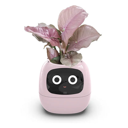 Ivy Smart Planter Endless Fun Over 49 Rich