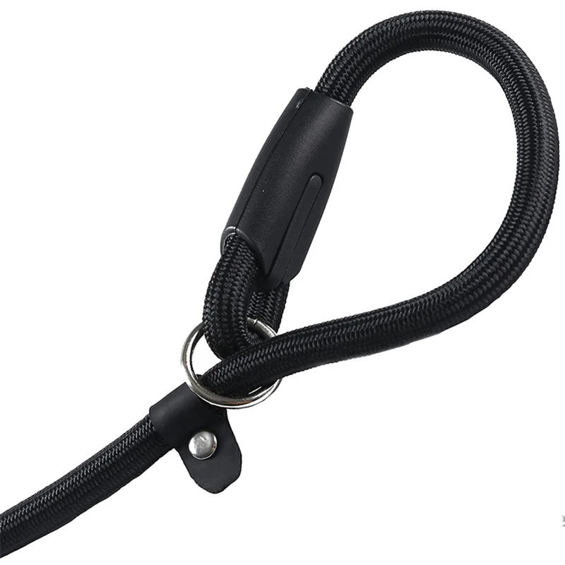Nylon Dog Training Leash for Small & Medium Dogs