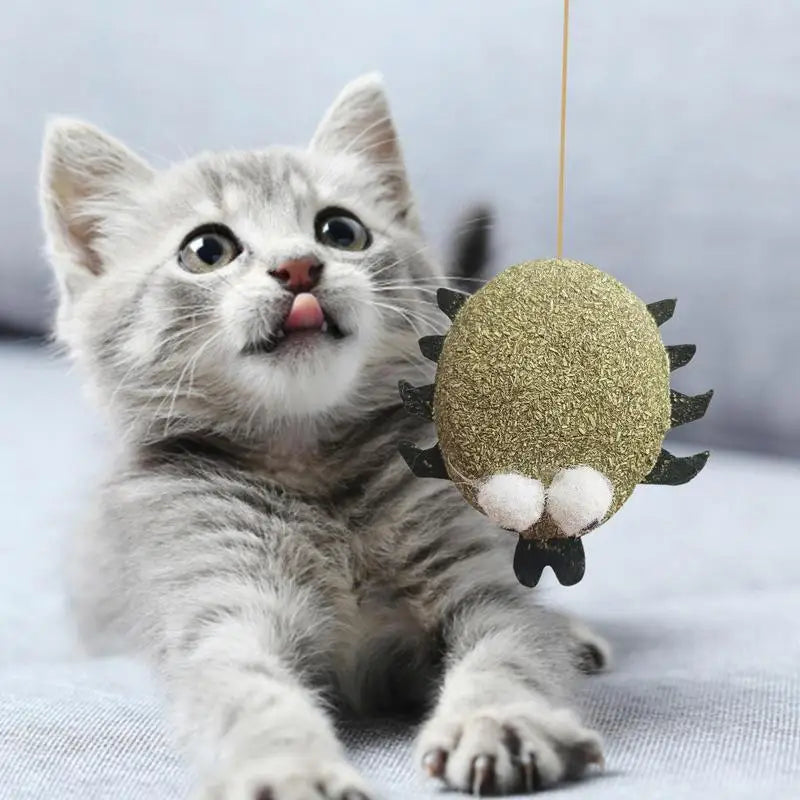 Catnip Cat Toys Cartoons Edible Catnip Ball Safety Healthy Cat Mint Cats Molar Teeth Clean Teeth Game Pet Toy Catnip Filled - MyLootWare