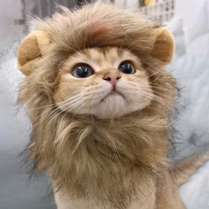 Pet Hairpiece - Humorous Lion Mane Headgear for