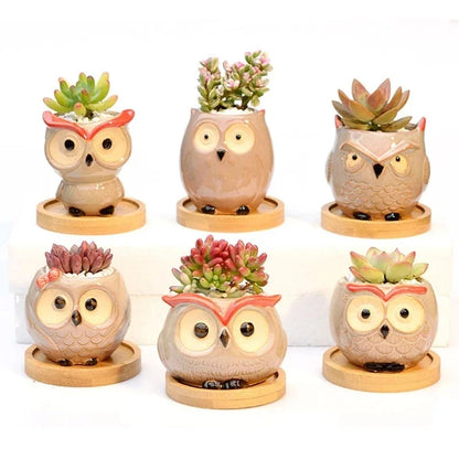 1Pcs Nordic Garden Supplies Decoration Creative Succulent Owl Flower Pot Pastoral Cute Animal European Style Household Flowerpot - MyLootWare