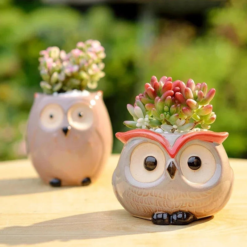 1Pcs Nordic Garden Supplies Decoration Creative Succulent Owl Flower Pot Pastoral Cute Animal European Style Household Flowerpot - MyLootWare