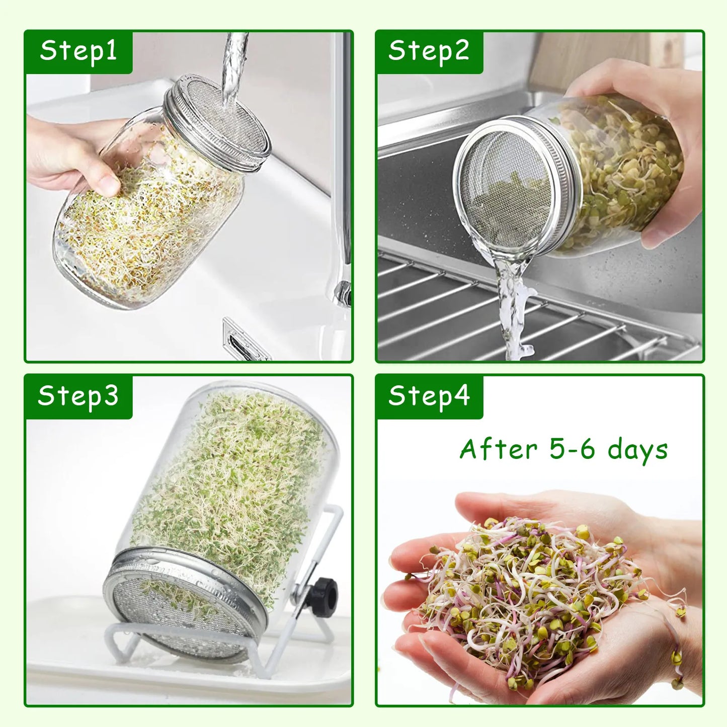 Seed Sprouting Jar Kit Durable Glass Bean Sprouts