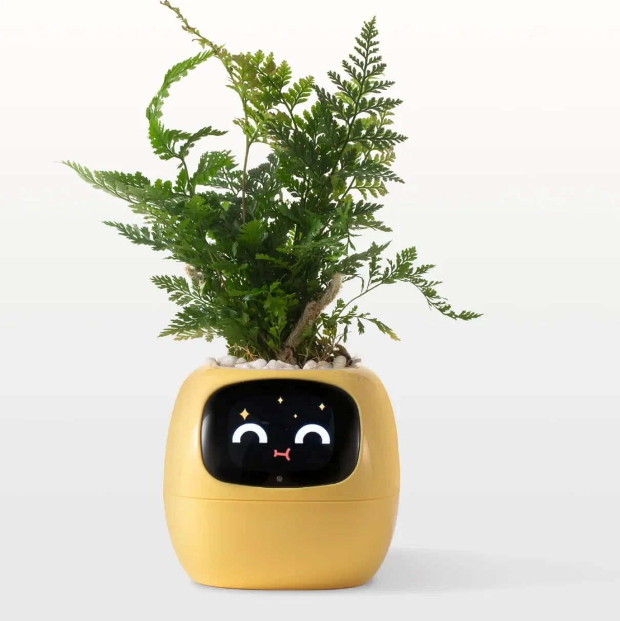 Ivy Smart Planter Endless Fun Over 49 Rich