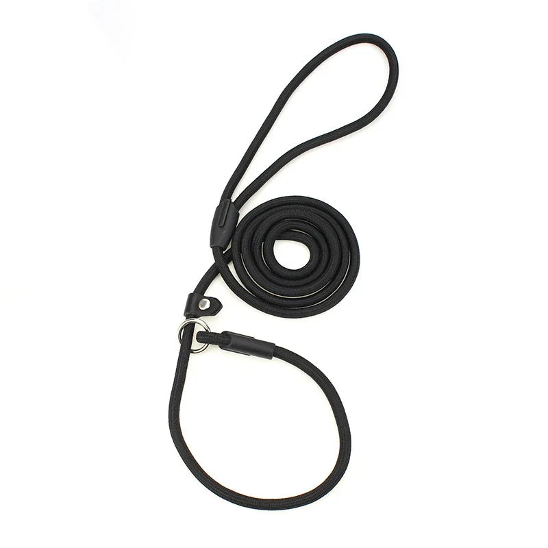 Nylon Dog Training Leash for Small & Medium Dogs