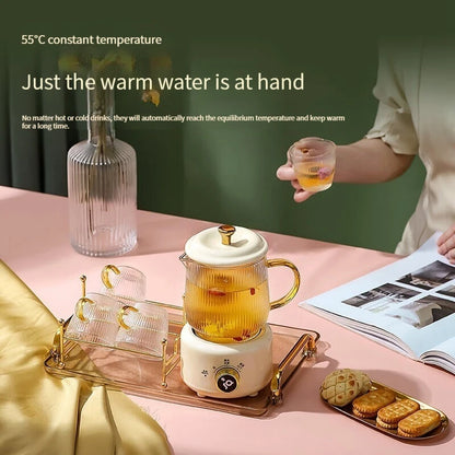 Health preservation pot, multi-functional