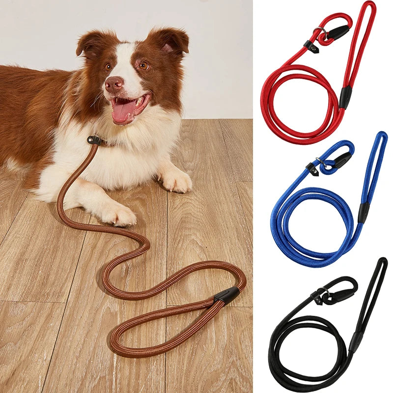 Nylon Dog Training Leash for Small & Medium Dogs