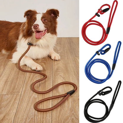 Nylon Dog Training Leash for Small & Medium Dogs