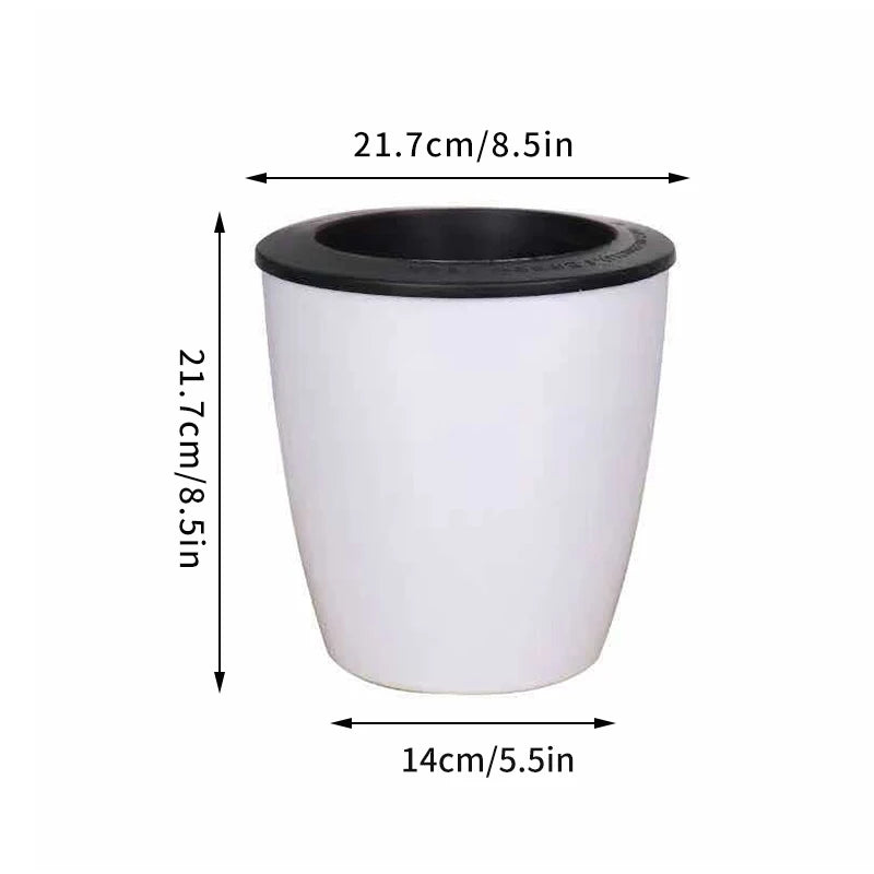 Self-Watering Hydroponic Flower Pot for Home