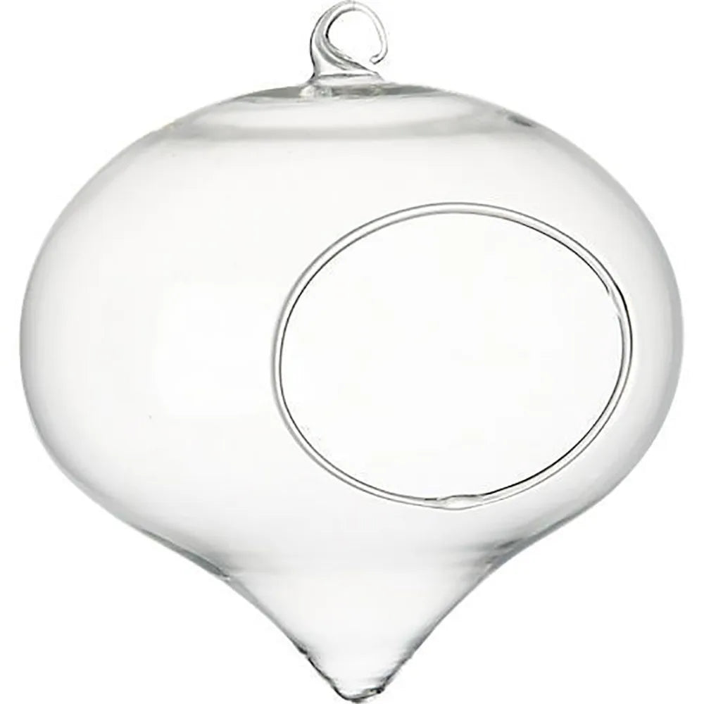 Clear Flower Hanging Vase Glass Planter Succulents