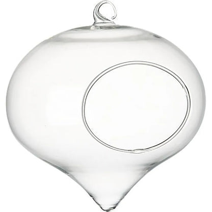 Clear Flower Hanging Vase Glass Planter Succulents