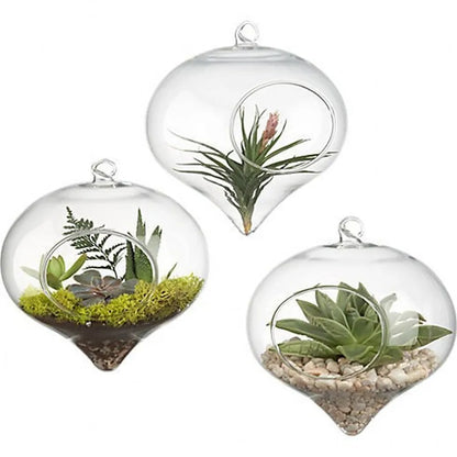 Clear Flower Hanging Vase Glass Planter Succulents
