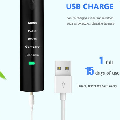 Powerful Ultrasonic Sonic Electric Toothbrush USB